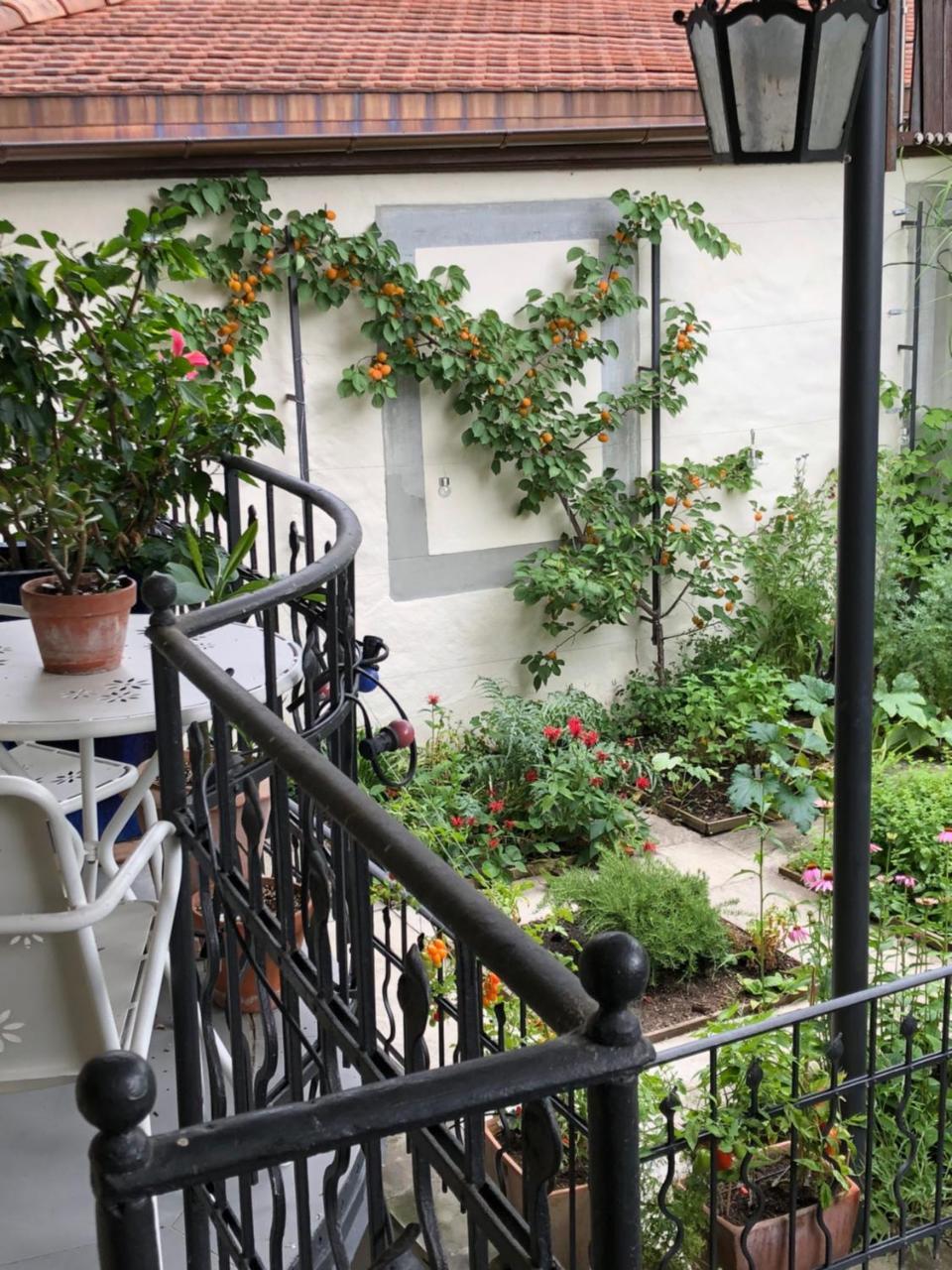 Good4Yew Bnb ซูริก ภายนอก รูปภาพ